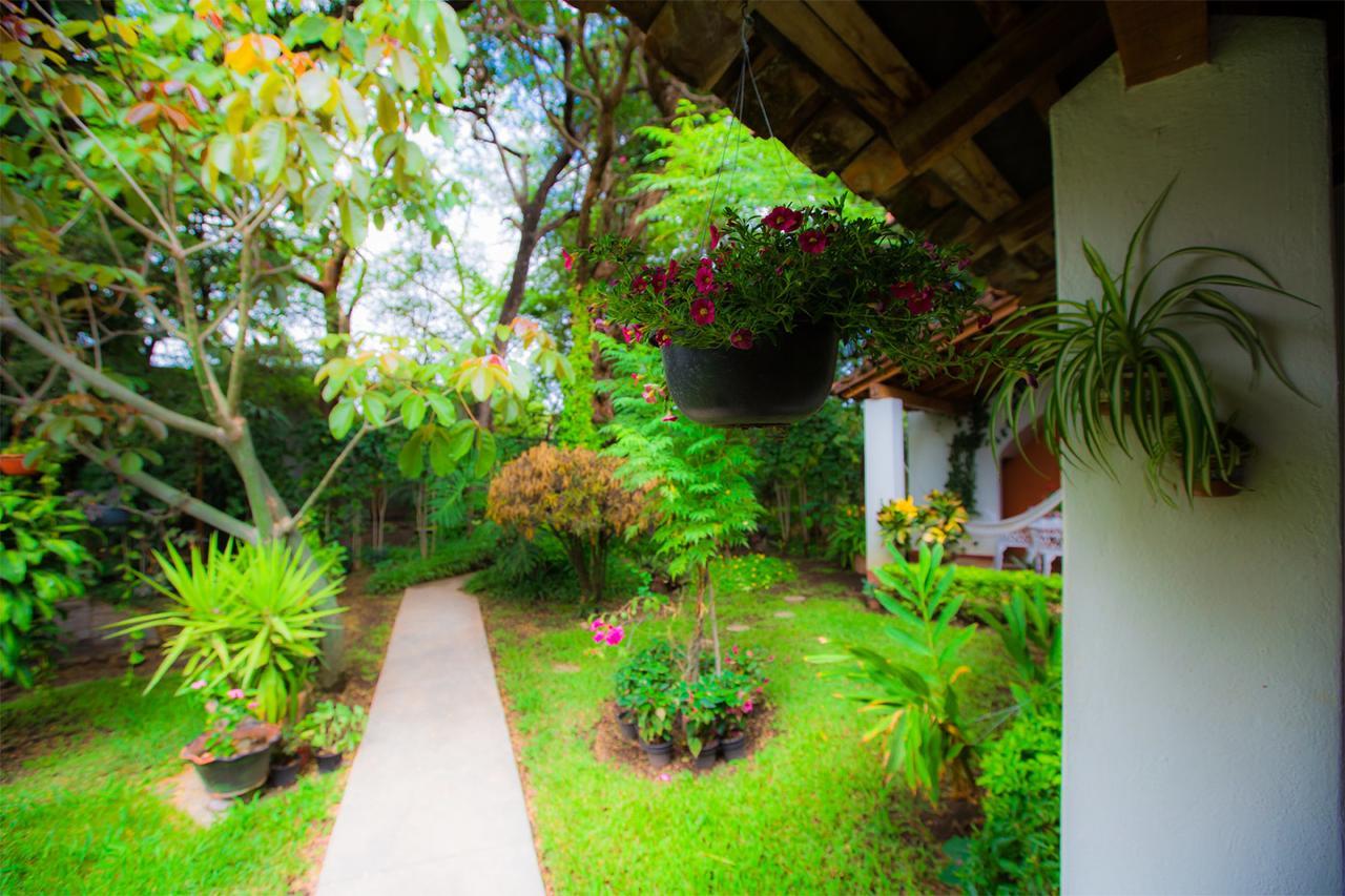 Hostal La Parroquia En Comala 외부 사진